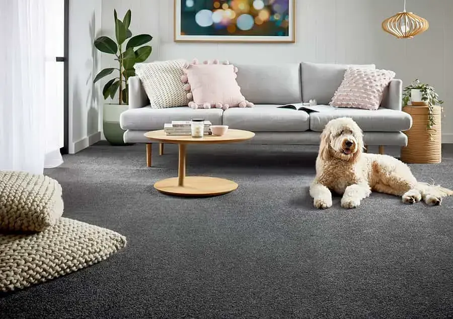 carpets in Dubai